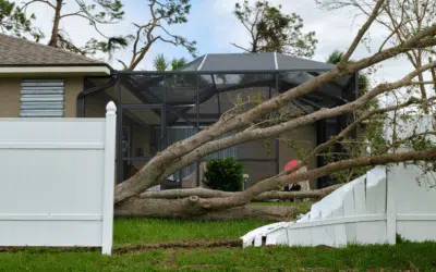 Emergency Tree Services: What to Do When Disaster Strikes