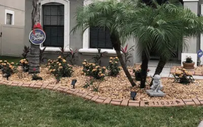 How to Identify When a Tree Needs to Be Removed