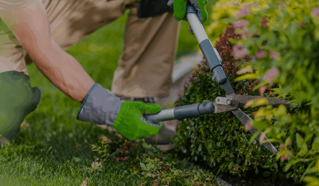The Impact of Proper Landscaping on Property Value