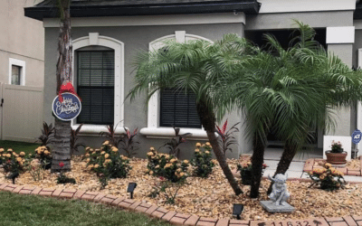 Common Irrigation Issues in Florida and How to Fix Them