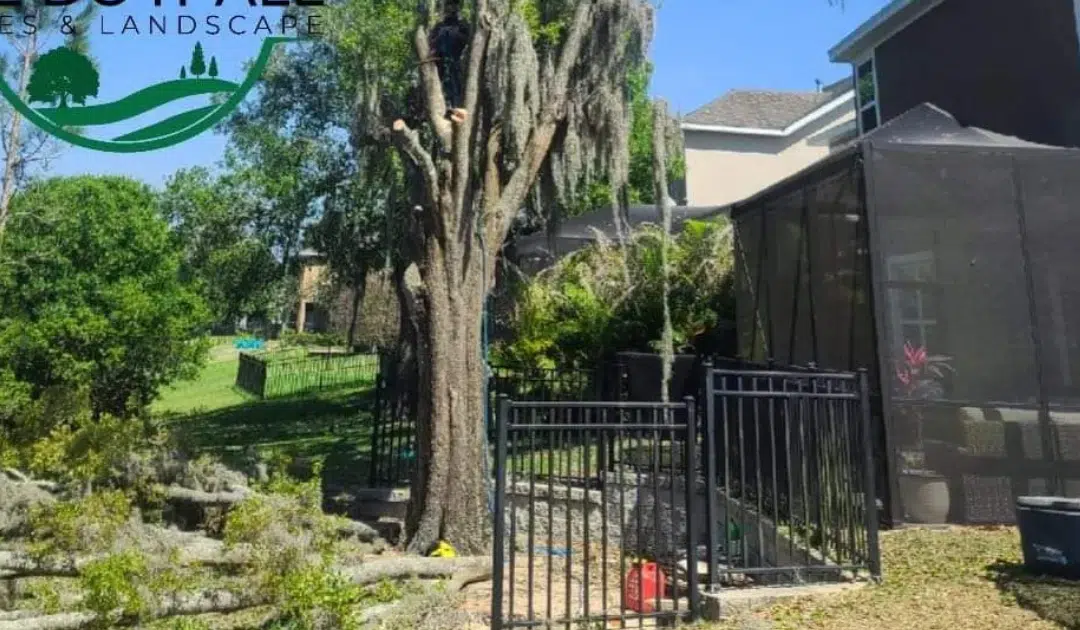 French Drain 101: Solving Drainage Problems in Your Yard