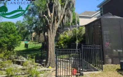 French Drain 101: Solving Drainage Problems in Your Yard