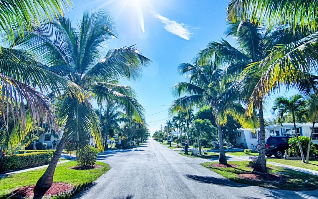 How Often Should You Trim Your Trees?